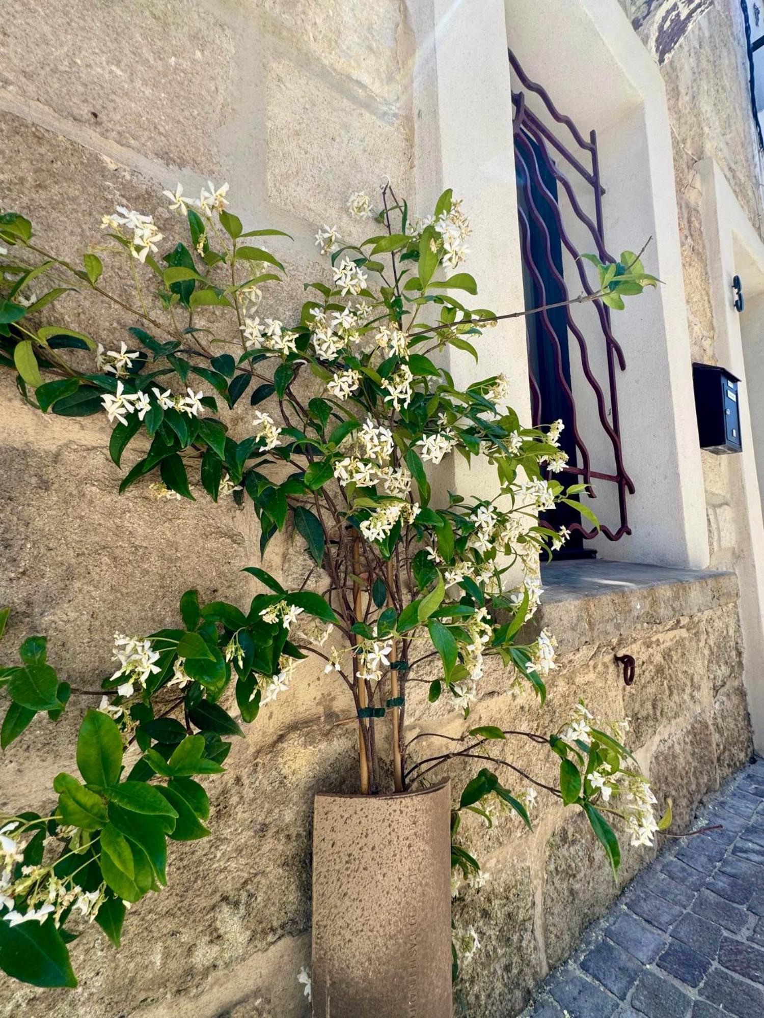 Maison de village rénovée ! Le Grau-du-Roi Esterno foto