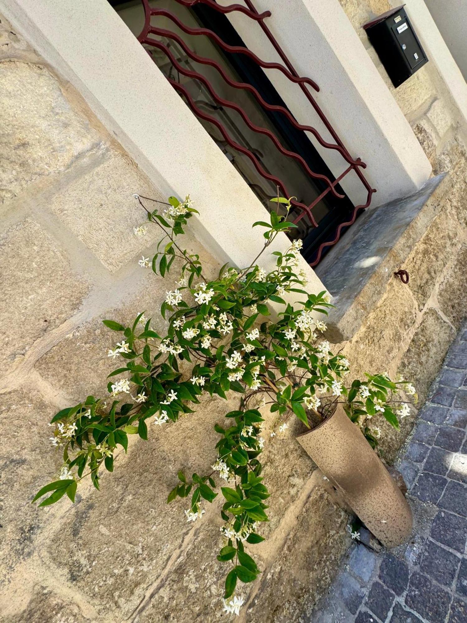 Maison de village rénovée ! Le Grau-du-Roi Esterno foto